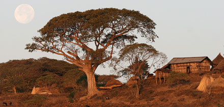 Etiopie vesnice