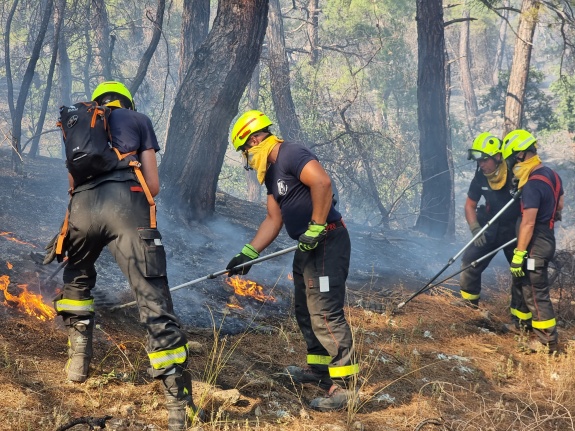Čeští hasiči v lese Dadia 