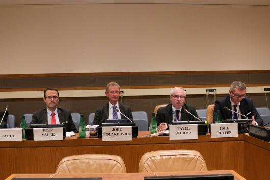 Činnost Výboru poradců pro mezinárodní právo Rady Evropy představena v OSN