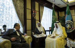 Ministr Schwarzenberg jednal v Saudské Arábii s korunním princem Salmanem