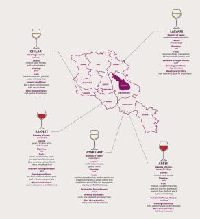 Wine varieties of Armenia (zdroj: blog.onearmenia.org) 