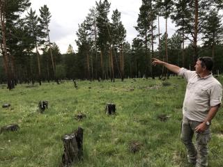 Práce českých lesníků v oblasti Sharyngolu je vzorovým projektem pro další oblasti Mongolska