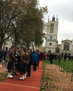 Memorial Field of Remembrance 2016, Westminster Abbey
