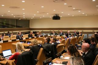 Činnost Výboru poradců pro mezinárodní právo Rady Evropy představena v OSN