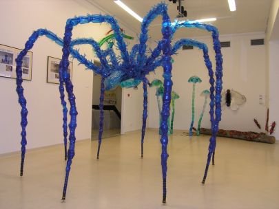House Spider. Author: Veronika Richterová